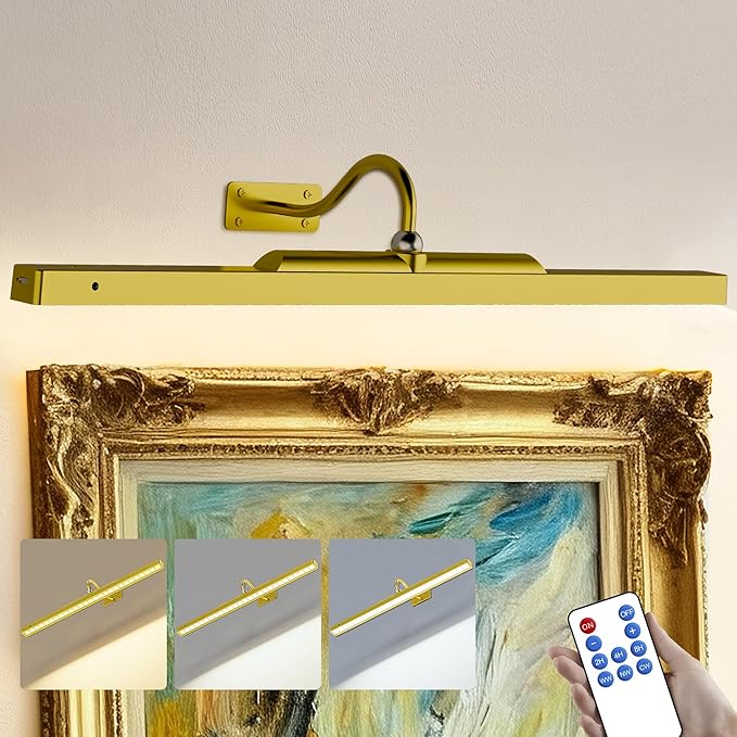 24 Inch Plastic Picture Light for Wall - Battery Operated Wireless Wall Sconce with Remote & Timer for Artwork, Portrait, Photo & Frame