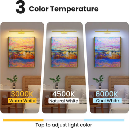 24" Picture Lights for Wall with 8000mAh Battery - Brass Operated Wireless Wall Art Light with Remote Control for Large Portrait & Paintings Art