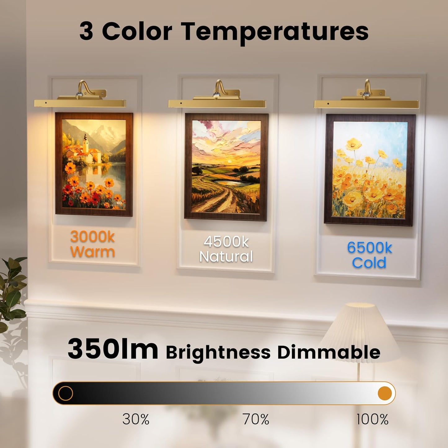 12‘’Picture Light for Wall, Plastic material,Rechargeable Wireless Battery Operated Painting Lighting, Dimmable LED with Remote 3CCT for Wall Art Gallery Display (Black)
