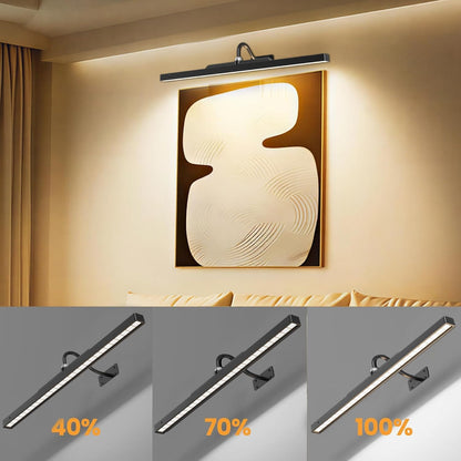 24 Inch Plastic Picture Light for Wall - Battery Operated Wireless Wall Sconce with Remote & Timer for Artwork, Portrait, Photo & Frame